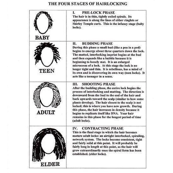The Four Stages of Hairlocking
